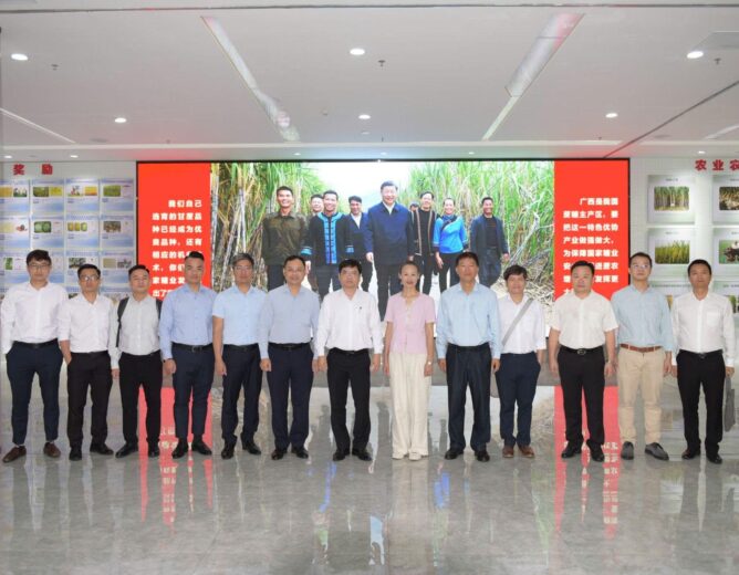 PTIT làm việc với Viện Khoa học Nông nghiệp Quảng Tây (GAAS), thúc đẩy hợp tác nghiên cứu chung về ứng dụng công nghệ trong nông nghiệp